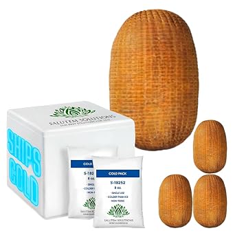 Salutem Vita - Mesquite Smoked Turkey Breast Standard Cut Tender and Flavorful for Sandwiches and Meals 1.25 lbs. actual weight may vary within 5% - Pack of 4