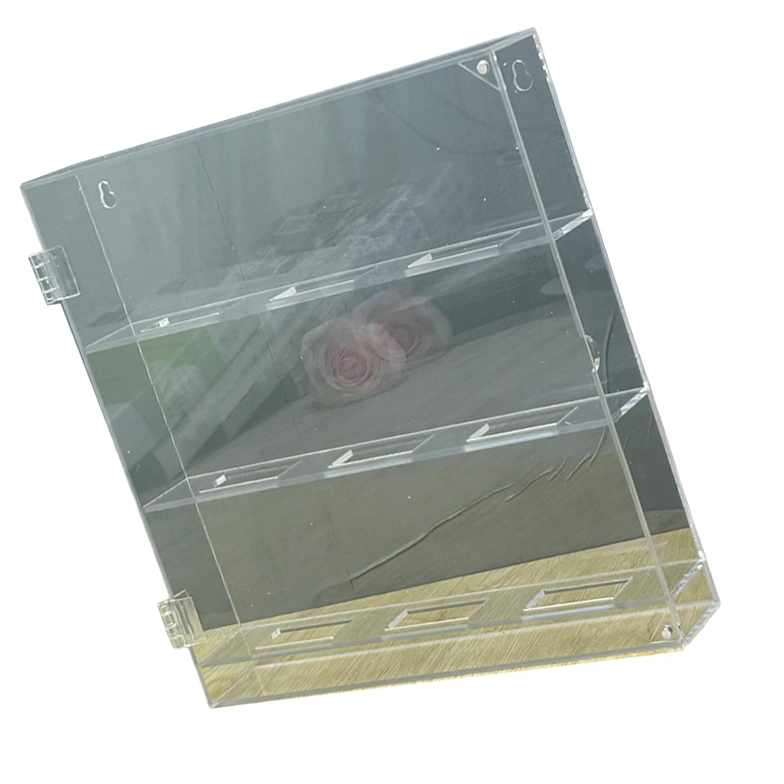 pour Médiator De Guitare en Acrylique Transparent Et Robuste Accessoire La Maison Un Rangement Sûr Et Anti-poussière dans n'importe Quel Environnement Solution D'affichage De La