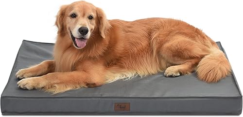 Tail Stories Cama para perros para todo tipo de clima, cama impermeable para perros grandes, cama ortopédica de espuma de huevo para mascotas con