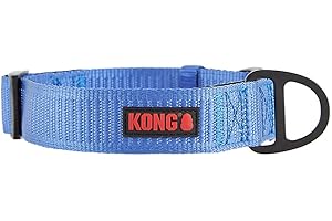 Max HD Ultra Durable Neoprene Padded Large Dog Collar in Vibrant Blue