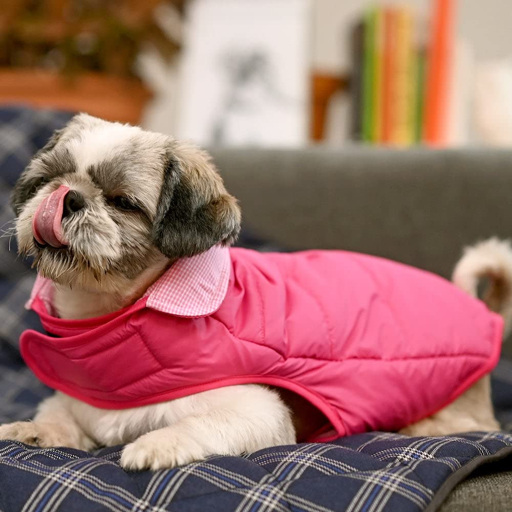 Heads Up For Tails Reversible Dog Jacket - Pink - 5XL (B09P6SQ5SL) Amazon Price History, Amazon Price Tracker