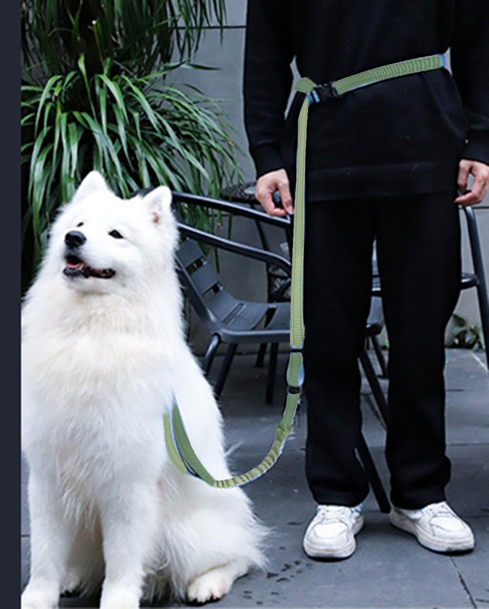 Correa de perro manos libres con costuras reflectantes, resistente y elástica con cinturón de seguridad para coche, correas de cintura ajustables para caminar, correr, senderismo (verde-1)