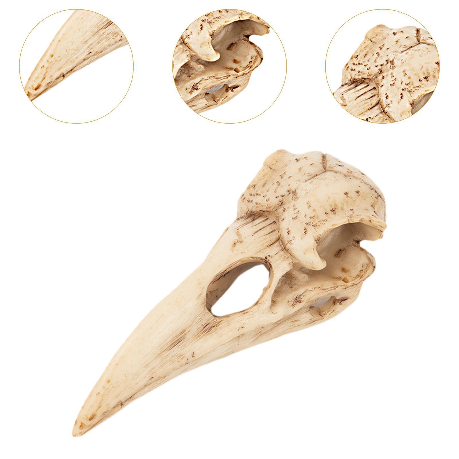 Amazon.co.jp: Wswqop 鳥の頭蓋骨ペンダント 樹脂製フィギュア