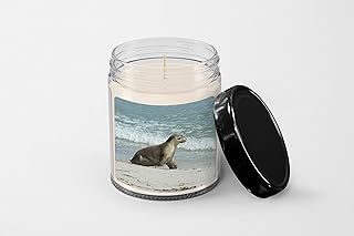 Australian sea Lions Australia Candle, Soy Wax Candle, Birthday Christmas Gift Idea
