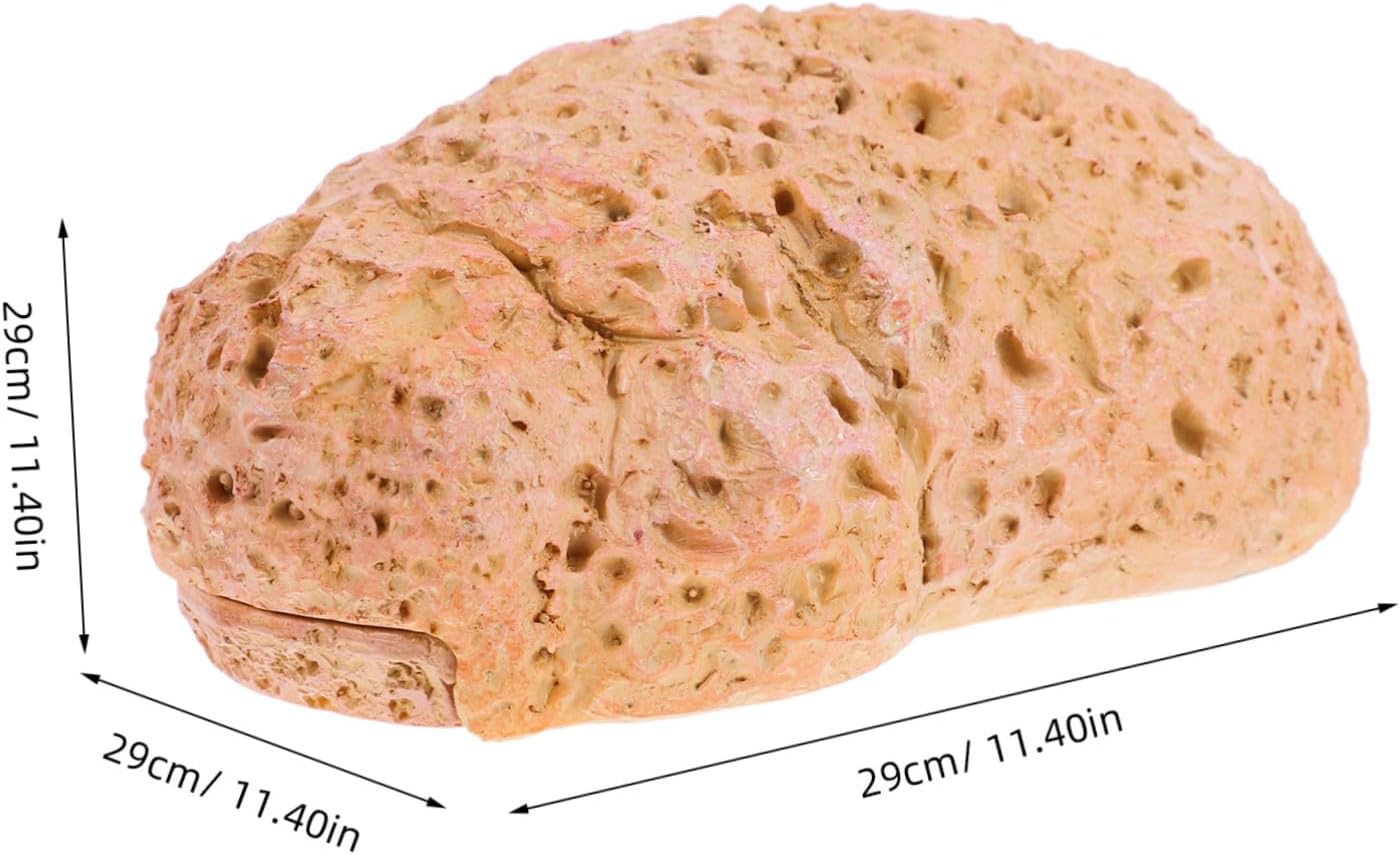 GALPADA 4pcs Stone Key Hider Realistic Outdoor Decorative Hidden Key Holder for Garden Discreet Storage Organizer Secret Compartment for Securely Hiding