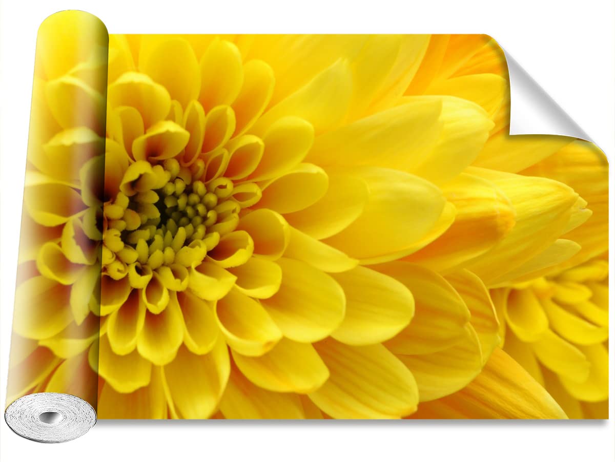 Papier peint fleur jaune Tulup pour masquer un mur abime et reussir sa decoration