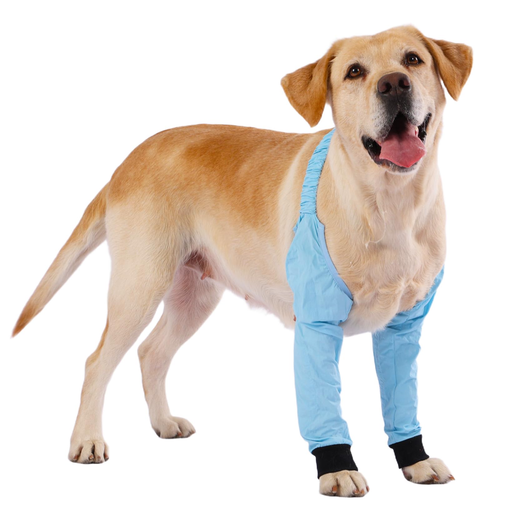 Amazon.com : LovinPet Dog Front Leg Sleeves for Medium & Large