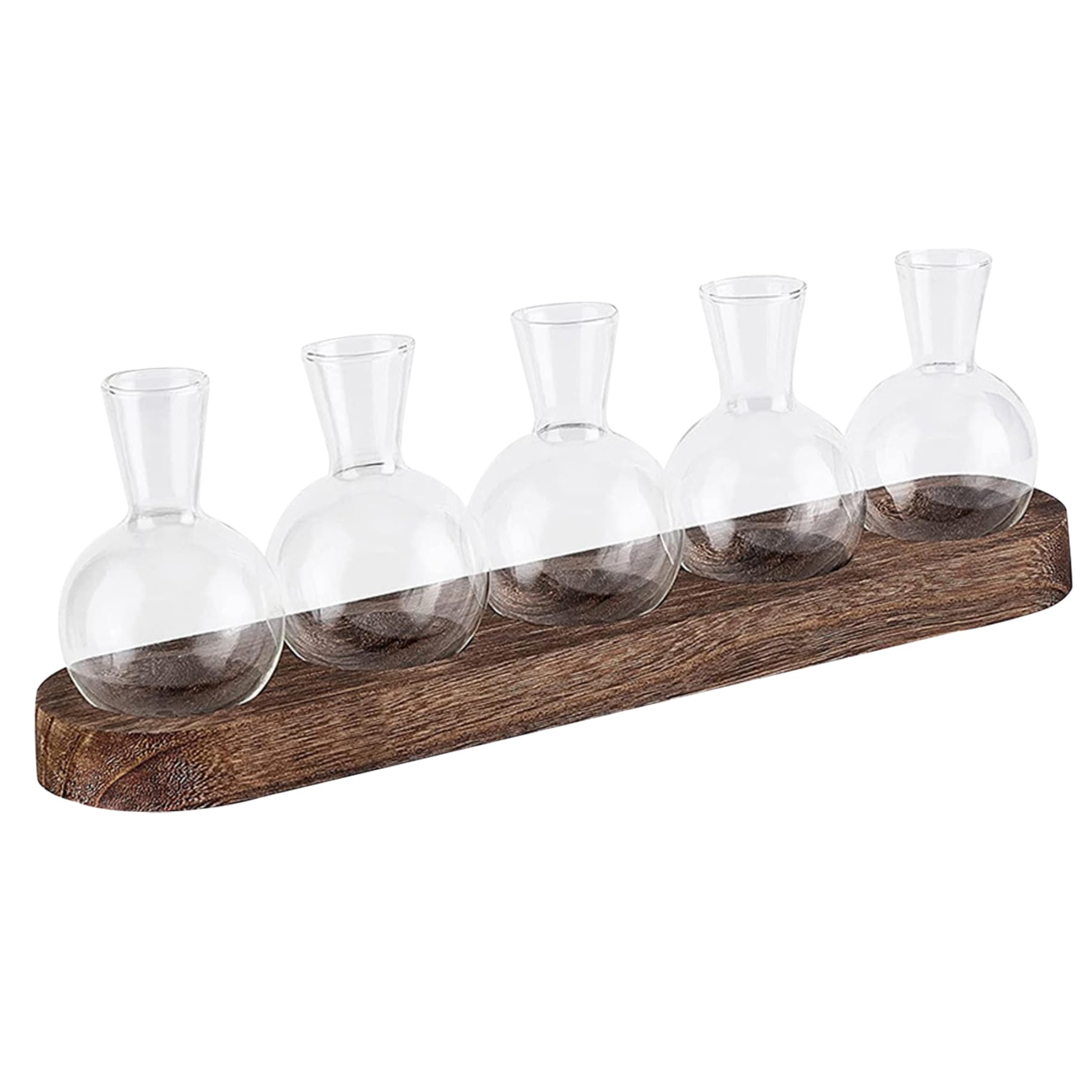 Terrarium plantes hydroponique et vase culture intérieur pour bouturage réussi