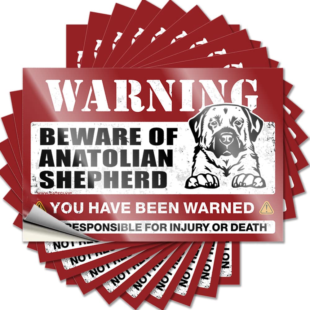 Mimosa Bar Decor Decal - Positive Teens Water Beware of Anatolian Shepherd(12X18CM)