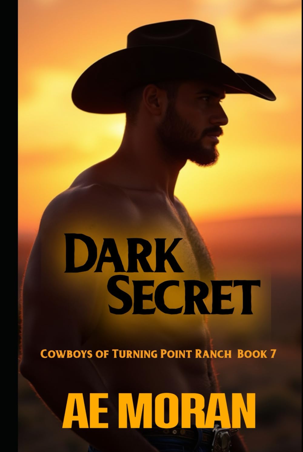 Dark Secret: A Steamy Cowboy Western Alpha Male Workplace Contemporary Romance (Cowboys of Turning Point Ranch Series)