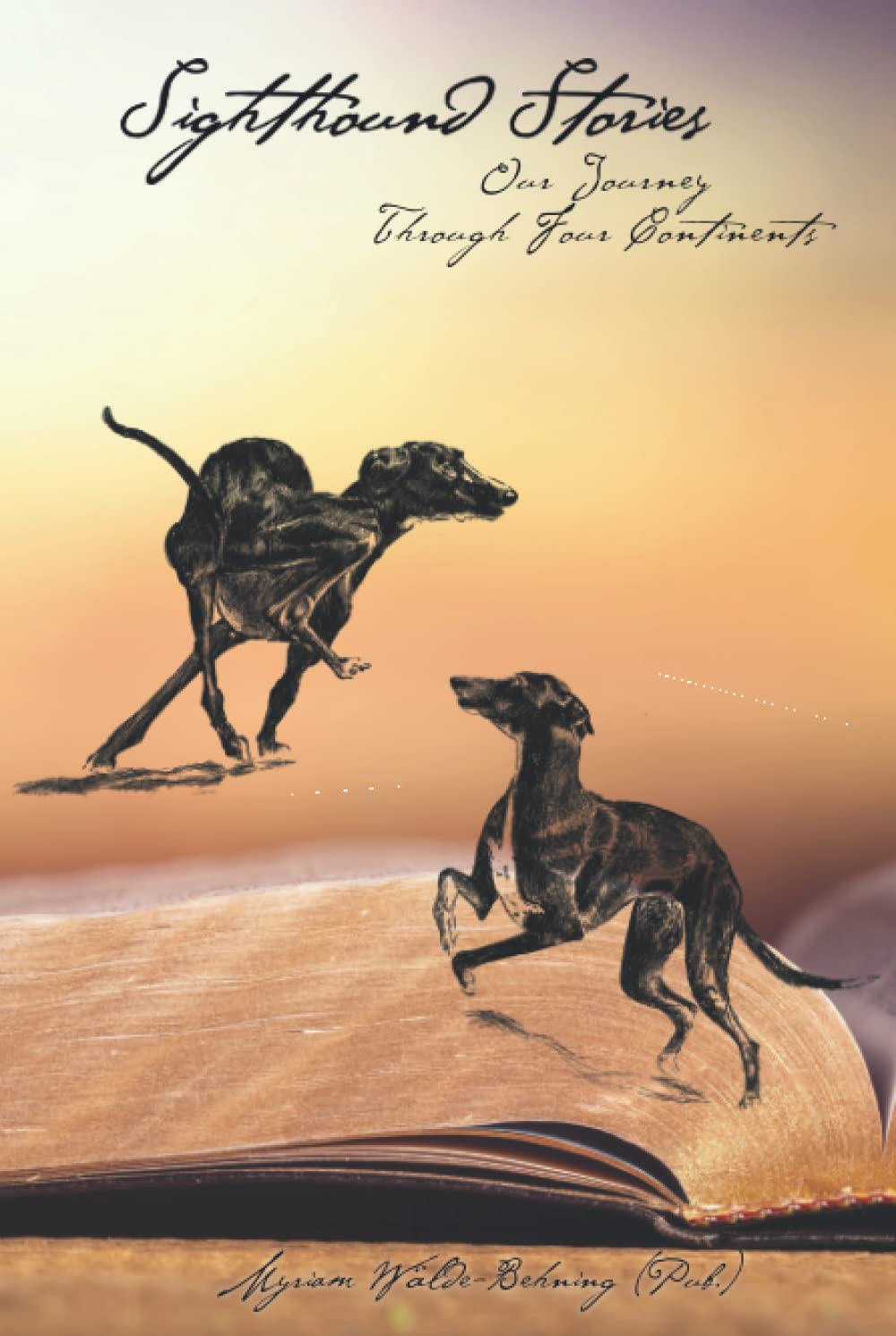 Sighthound Stories: Our Journey Through Four Continents