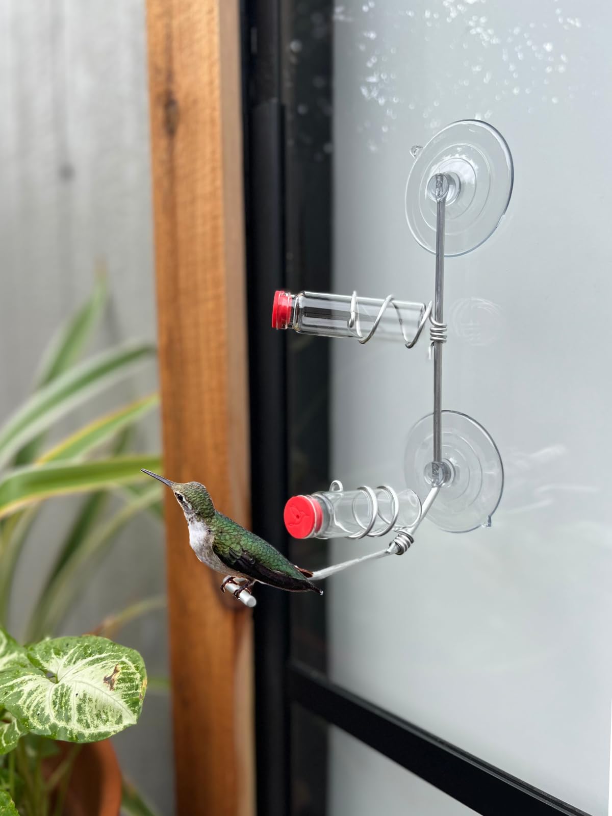 Mangeoire à Colibris Moderne En Spirale à 6 Stations | Mangeoires à Bonbons | Cuivre | Fleurs En Soie | Bouteilles En Verre | Nouveau Look - Canada