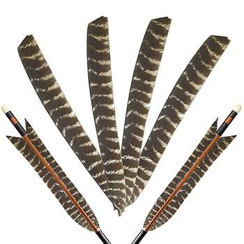 ハンドメイド　リメイク　飾り　インテリア　弓道　羽　替え羽　猛禽類　鷹の羽根 ハンドメイド リメイク 飾り インテリア 弓道 羽 替え羽 猛禽類