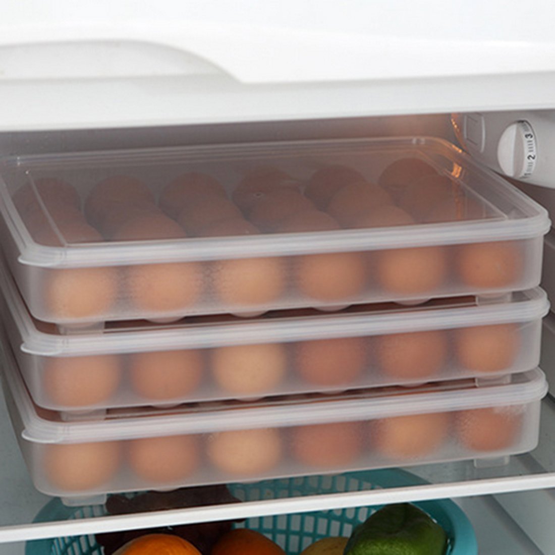 Param 24 Grids Egg Tray Transparent Fiber Freezer Storage Box Eggs Preservation Box (ABS Plastic) 3