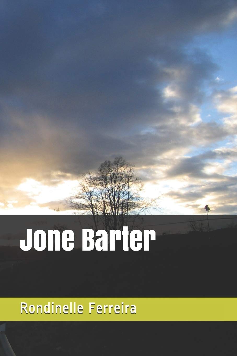 Jone Barter (Portuguese Edition)