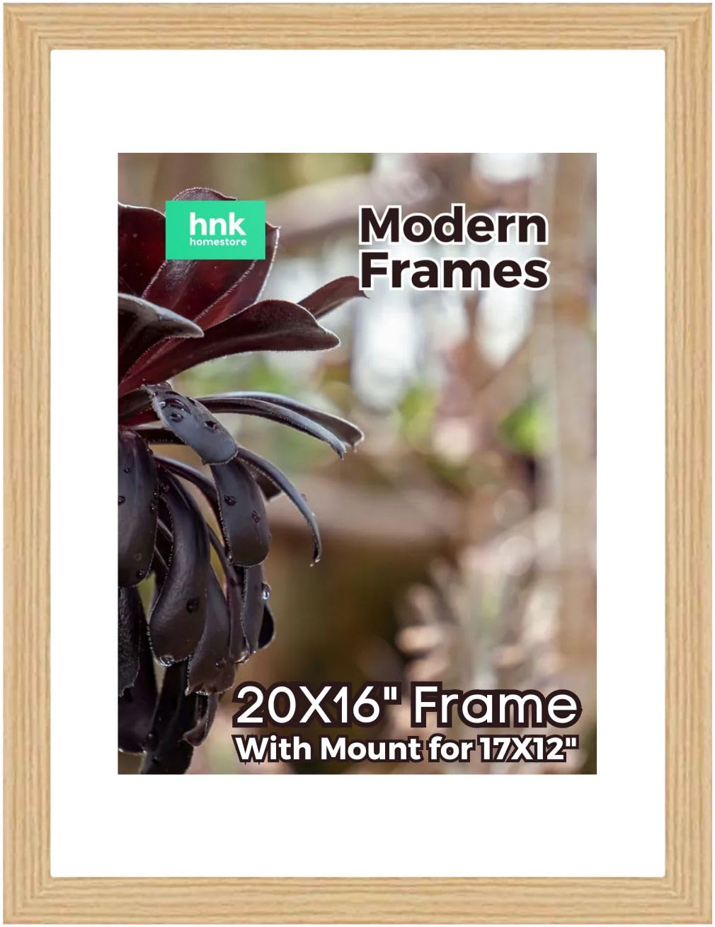 OAK Large Picture Poster Frame Size 20 X 16 inch, 50.8 X 40.64cm, 508 X 406mm with White mount for Image, Photo, Artwork, or Print Size 17 X 12 inches, 43 X 30cm, 430 X 300mm [OAK Frame]