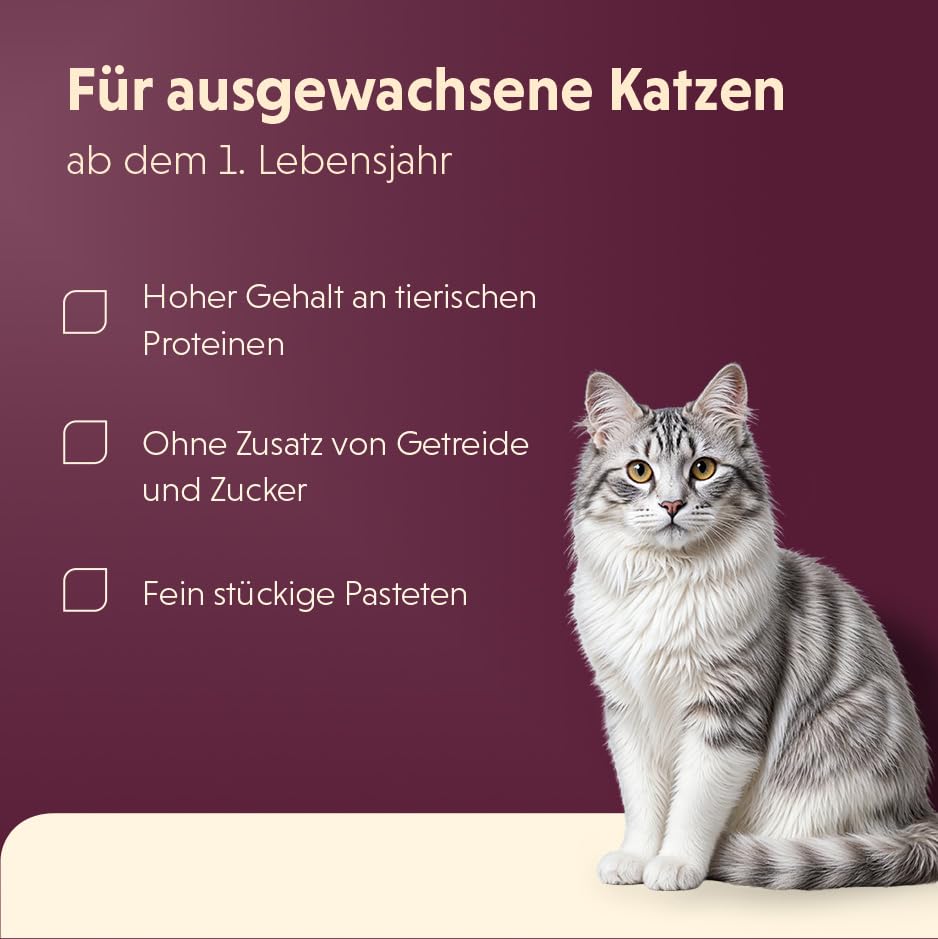 Animonda vom Feinsten 83210 Menue mit Geflügel+Nudeln 32 x 100 g Schale – Ansicht 2