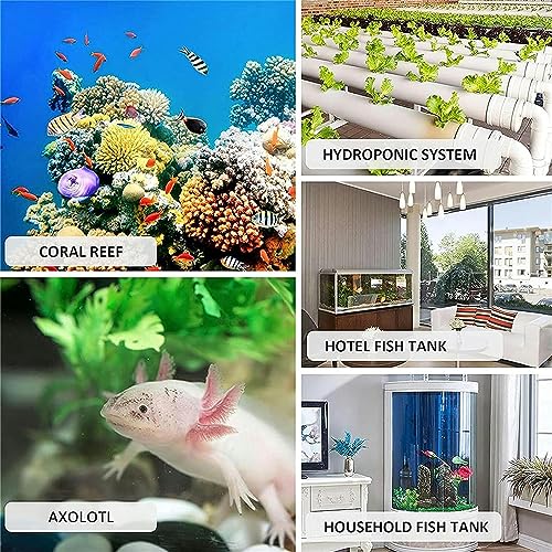 Refroidisseur eau aquarium à la maison pour préserver vos coraux - 8