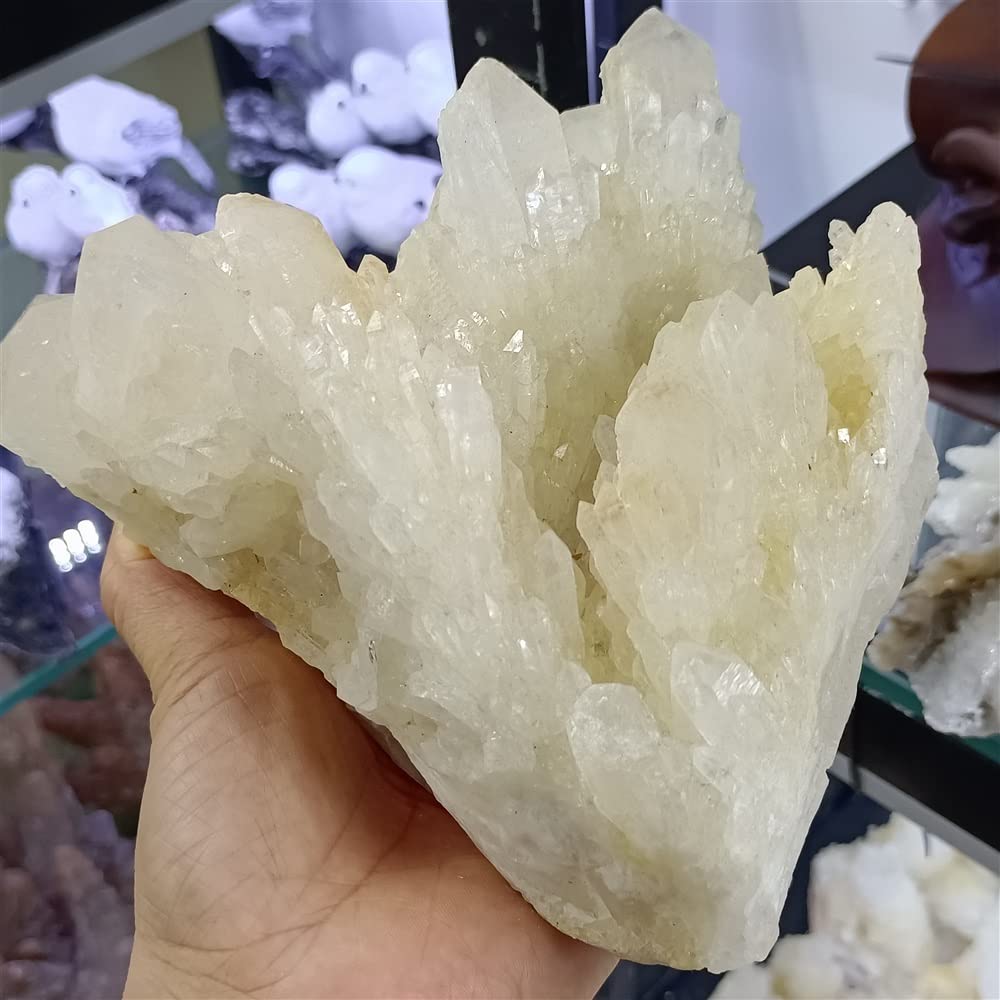 Hogar Blanco Natural Piña Energía Hogar Oficina Decoración Regalo Reiki Espiritual Feng Shui Adornos (Size : 1.8-2.0kg) (Size : 2.6-3.0kg)