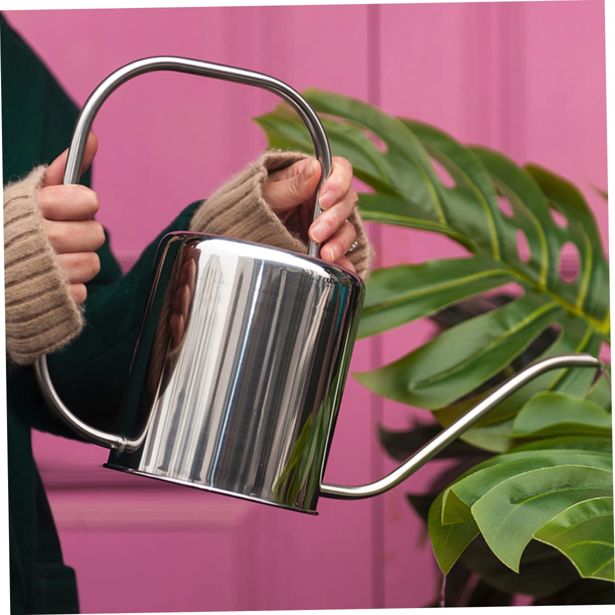 Arrosoir Rétro en Acier Inoxydable 1, 3 L à Long Bec pour Succulentes