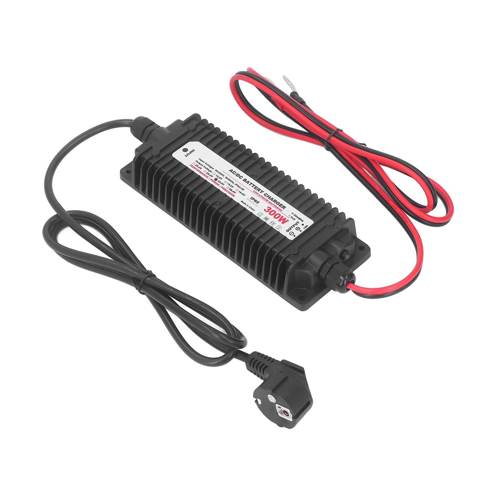 Fafeicy Caricabatterie Al Litio Caricatore Caricatore Agli Ioni di Litio 43,8 V 6,7 A 300 W IP65 Impermeabile con Stato LED per Apparecchiature di Veicoli (Spina europea)