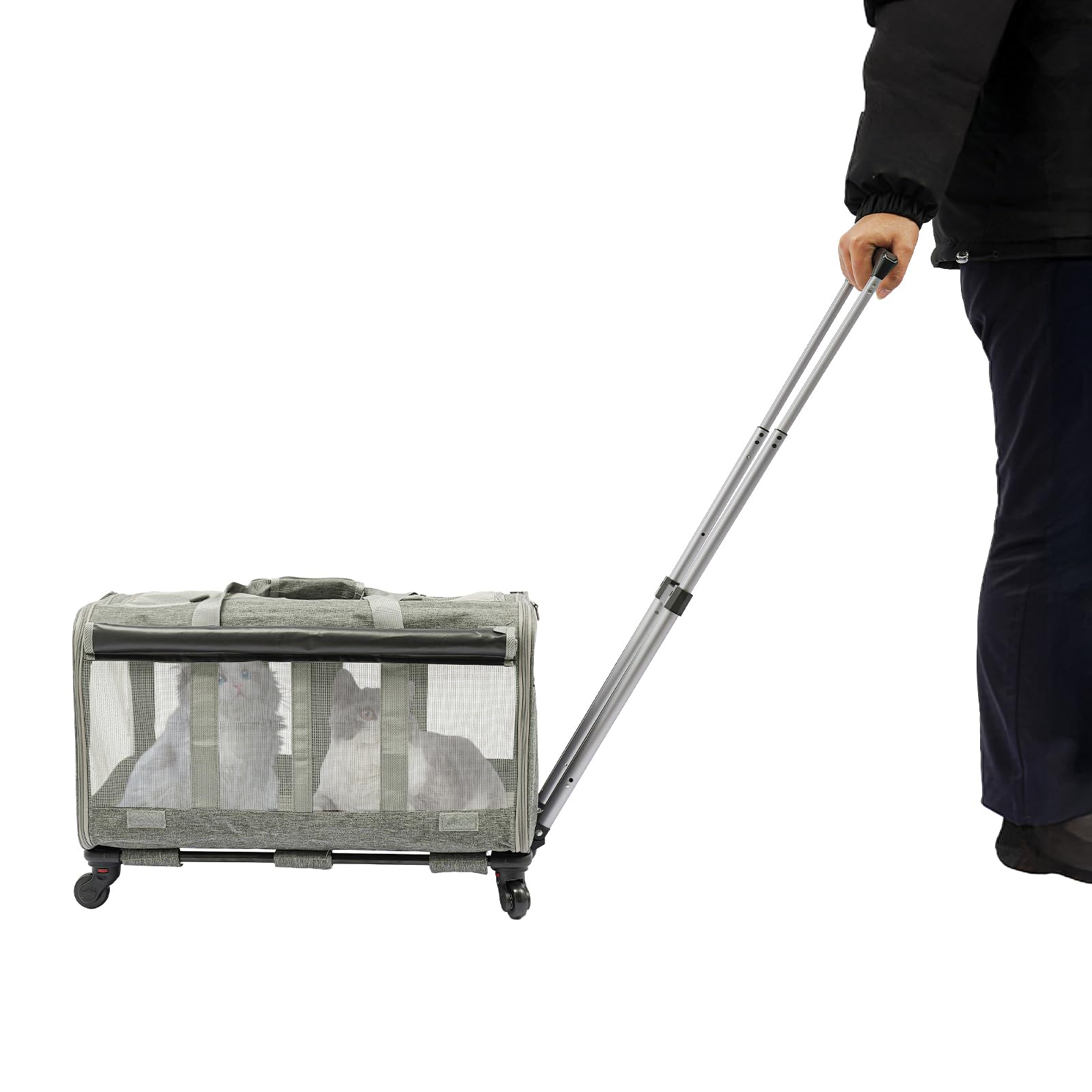 Transporttasche für Katze mit Rollen, Transportbox für 2 Katzen Faltbarer Katzentransportbox bis 17.5 kg, Haustier-Reisetasche mit Schultergurt für Spaziergänge/Camping