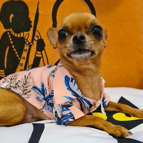 Miniatura 2 de Camisa hawaiana para perro, camisas para perros pequeños, ropa de verano para cachorros, ropa de bulldog francés, diseño de piña, camisetas para