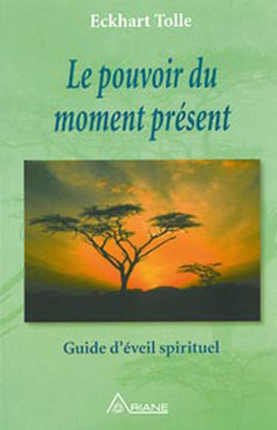 Le pouvoir du moment présent: Guide d'éveil spirituel