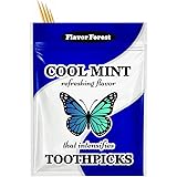 Mint Flavored Toothpicks 200ct