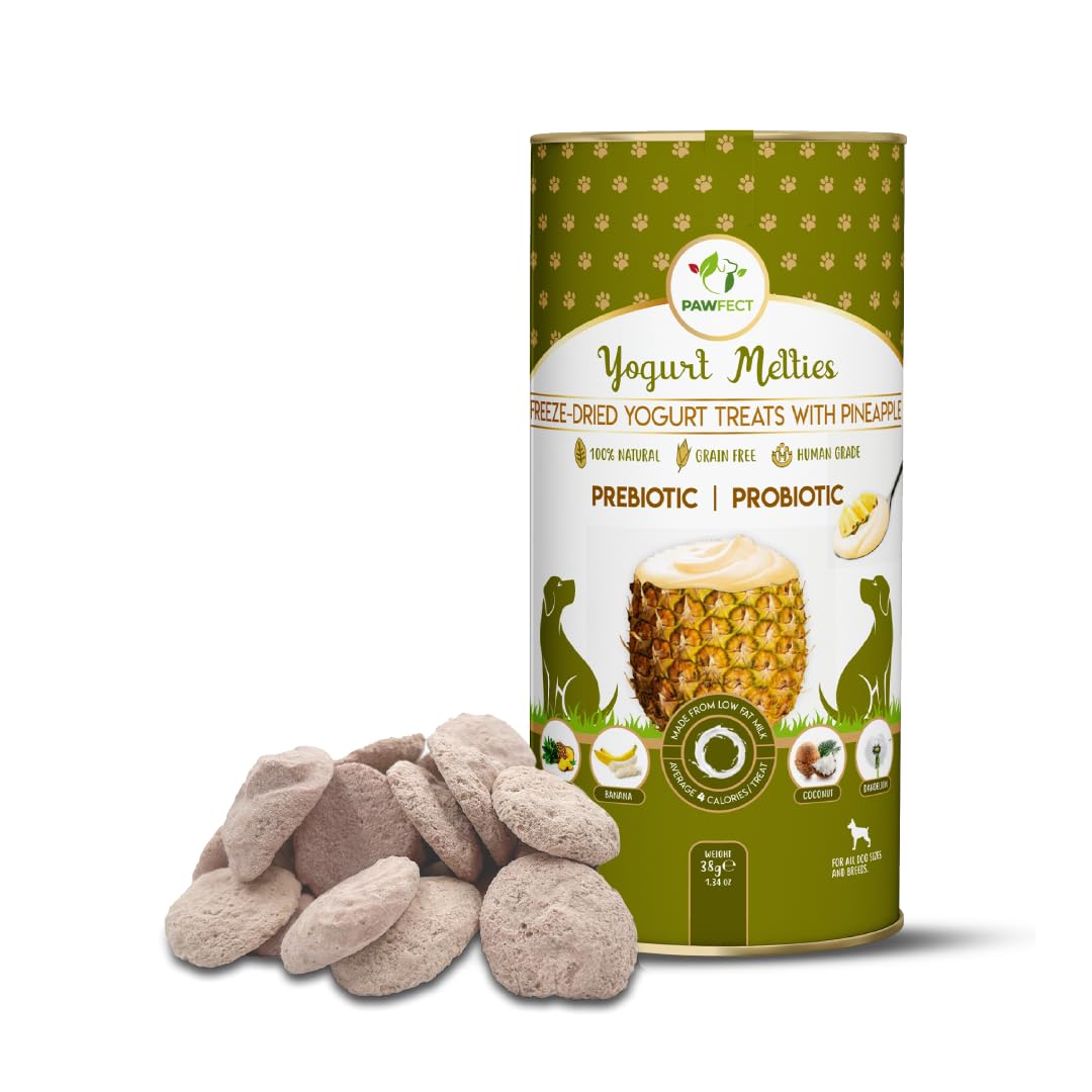 Pawfect Yogurt Melties Freeze Dried Pre and Probiotic Dog Treats with Pineapple, Coconut, Banana, Dandelion - Healthy Gut - Low Calories - Grain & Gluten Free - Reward or Training Treats (38g/1.34oz)