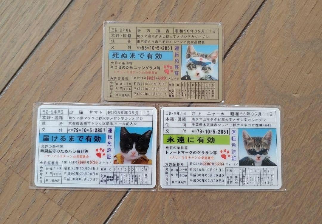 Amazon.co.jp: なめ猫 免許証カード ゴールドカード レトロ 平成レトロ