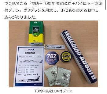 ANA(全日本空輸) - 【レア】ANA 全日空 フライトタグ 787 就航10周年 ANA、787-10国内線4号機が就航 初期受領すべて出揃う