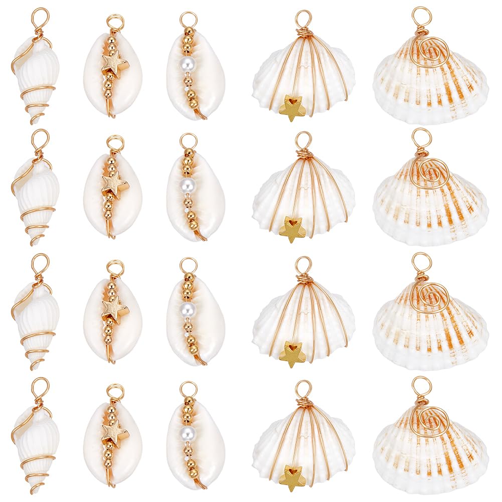 SUNNYCLUE 1 Box 5 Styles 20Pcs Natural Shell Charms White Seashell Charm Bulk Summer Beach Cowrie Hawaii Sea Life Scallop Pendants for Jewellery Making Diy Necklaces Bracelets Earrings Supplies Women