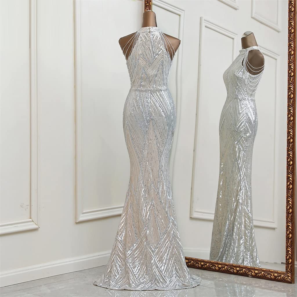 CZDYUF Sexy Silver Sequin Evening Gown Women's Holiday Bridesmaid Dress  Marriage Evening Gown Long Skirt (Color : D, Size : XL CODE) : Amazon.sg:  Fashion