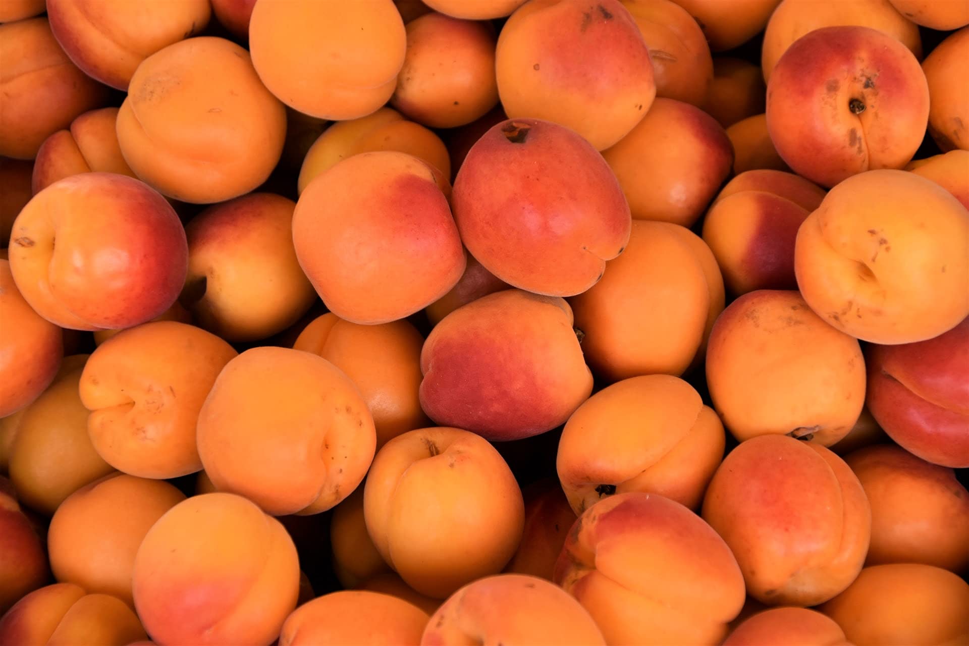 Kamelur Albicocche BIO Non Trattate, Albicocche Secche Non Solforate E Non Zuccherate, Di Una Morbidezza Straordinaria 1 Kg (Confezione Da 1)
