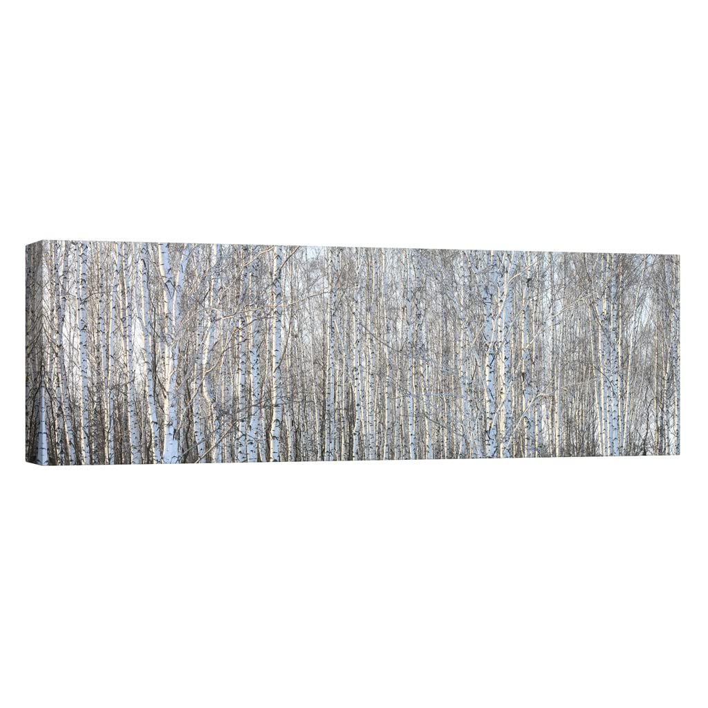 Tableau canvas nature résolvant le manque de luminosité nocturne - 5