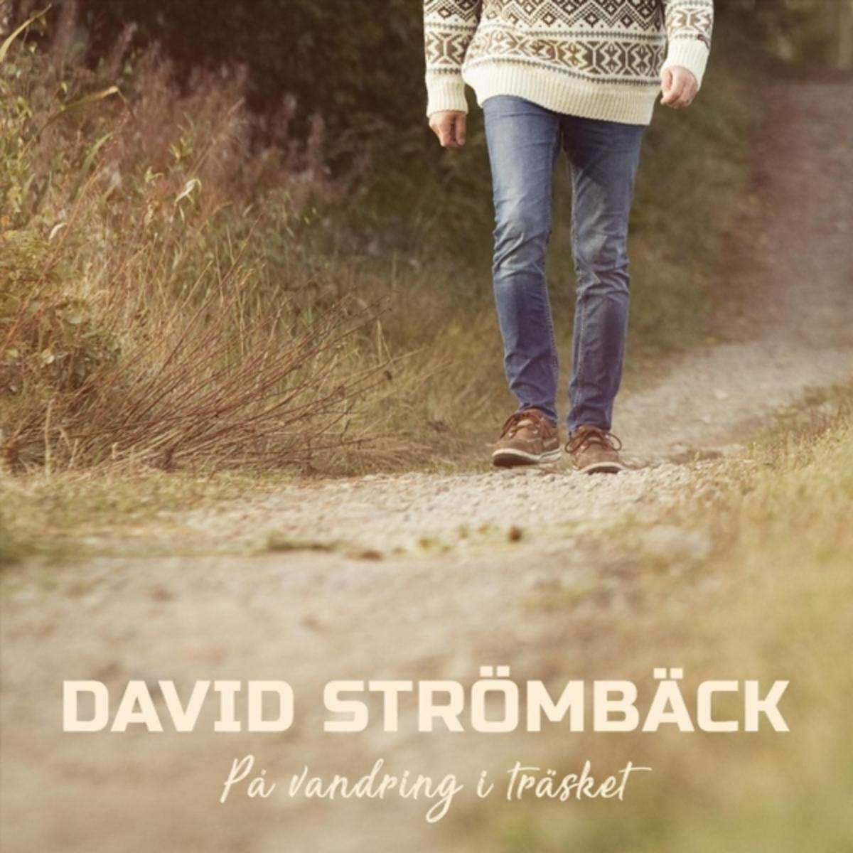 På vandring i träsket