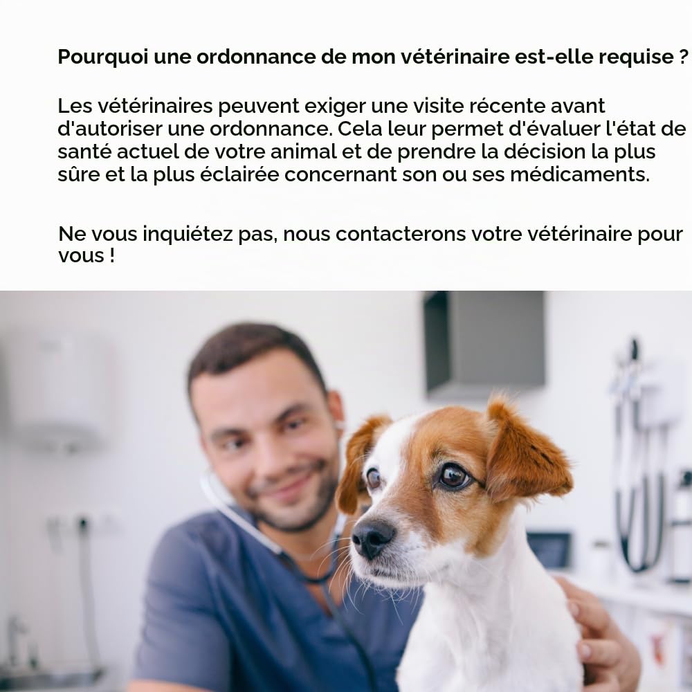 BRAVECTO Approvisionnement d’un mois de comprimés à croquer contre les puces et les tiques pour chiots, 1 comprimé, approvisionnement d’un mois, >4,5-10 kg, boîte orange