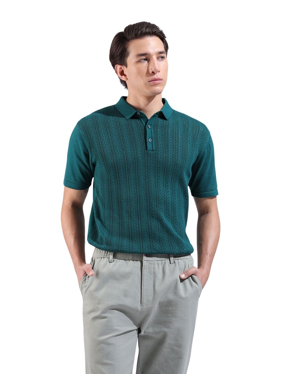 The Indian Garage Co Men Slim Fit Textured Flatknit Half Sleeve Polo T-Shirt-picture-12