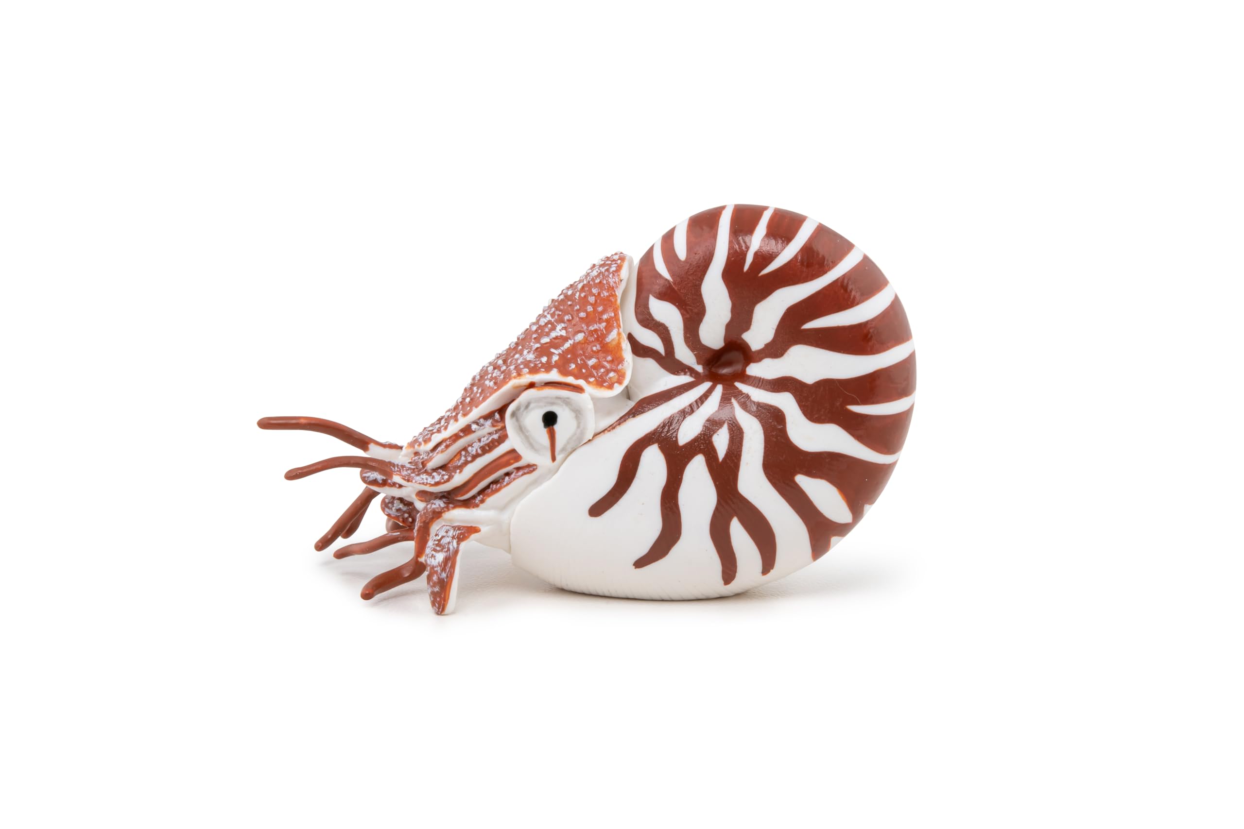 Papo, Realistic Nautilus Figure, Ages 3+, Marine Life Collection, Educational Play Marine Creatures - Image 2