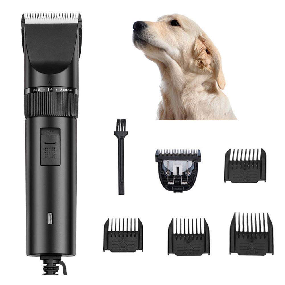 used dog clippers