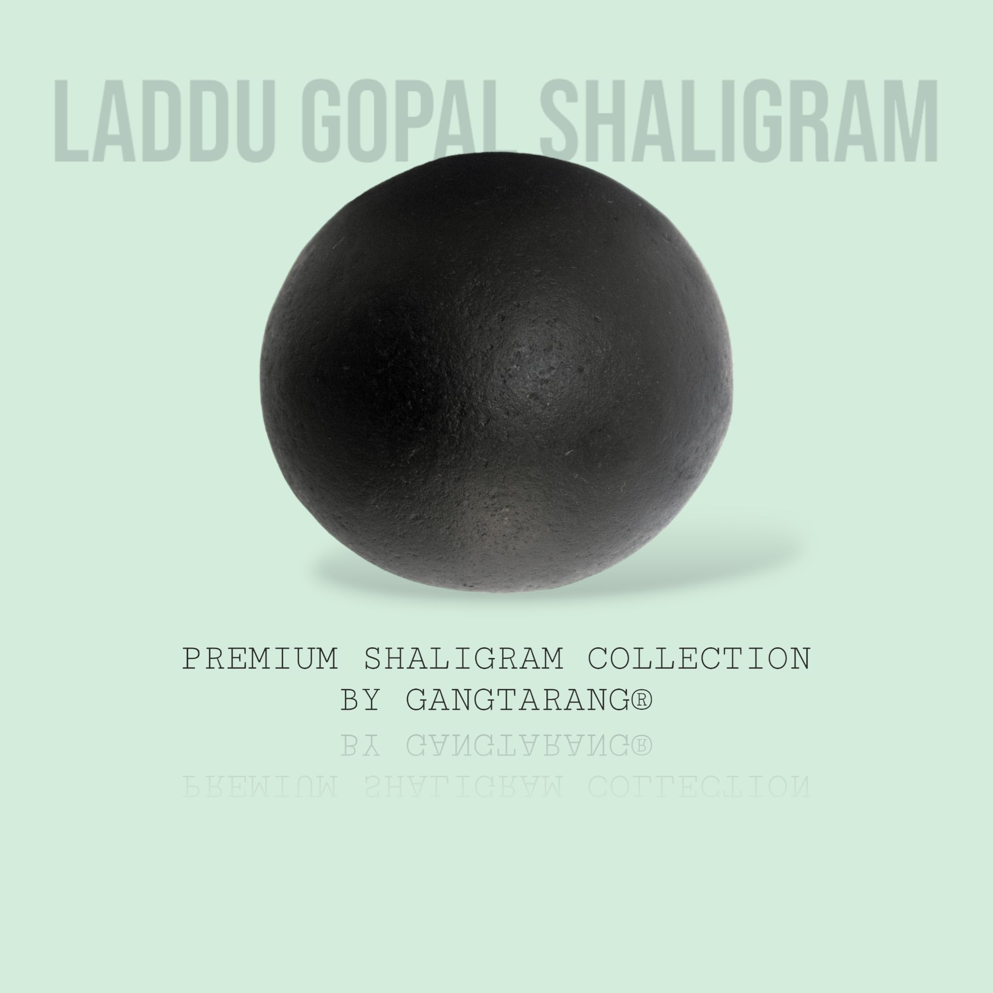 Laddu Gopal Krishna Shaligram Stone - Divine Child -6