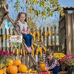Football and Fall Y'all Wood Sign Farmhouse Wall Decor Fall Door Hanging Small Rustic Decor Autumn Porch Decor for Home Living Room Front Door Garden Harvest Thanksgiving Halloween Football and Fall Yall Wood Sign Farmhouse Wall Decor Fall Door Hanging Small Rustic Decor Autumn Porch Decor for Home Living Room Front Door Garden Harvest Thanksgiving Halloween