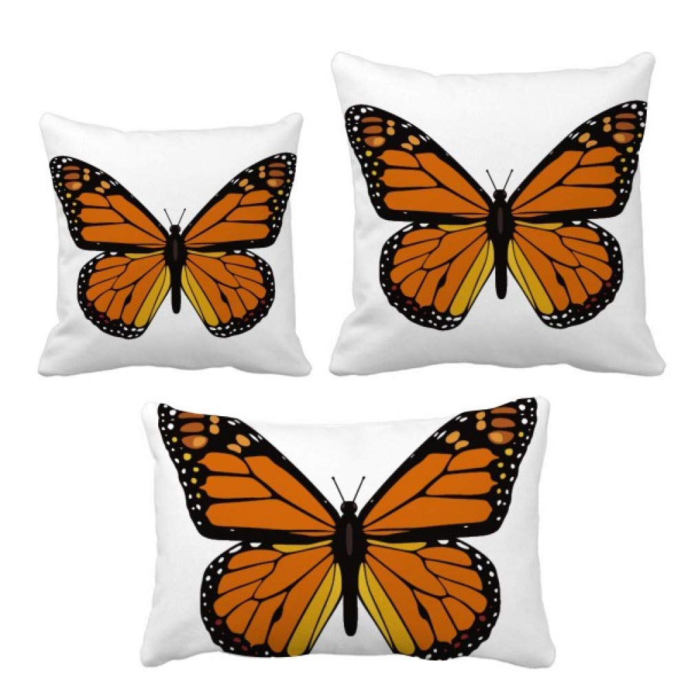 Spécimen de papillon en orange sous cadre idée cadeau originale pour passionné de nature