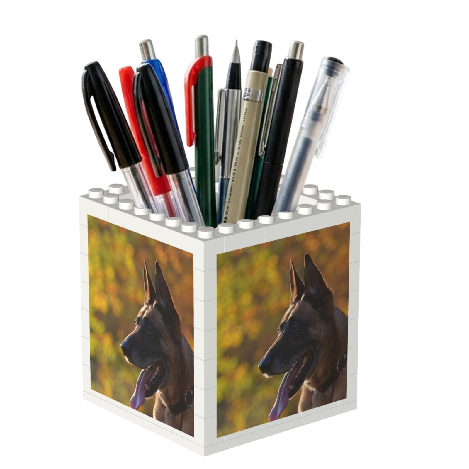 Poadnly Malinois, Pen Pot Pencil Holder for Office Home School, Compact Desk Organiser for Office Stationery