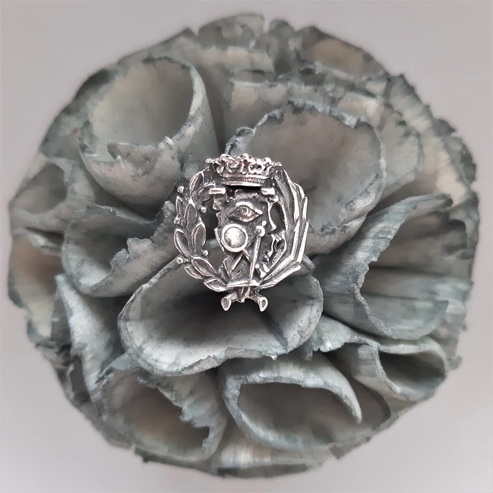 Insignia Profesional de Ciencias Exactas Pin para Hombre Mujer en Plata 925 con Caja para Regalo