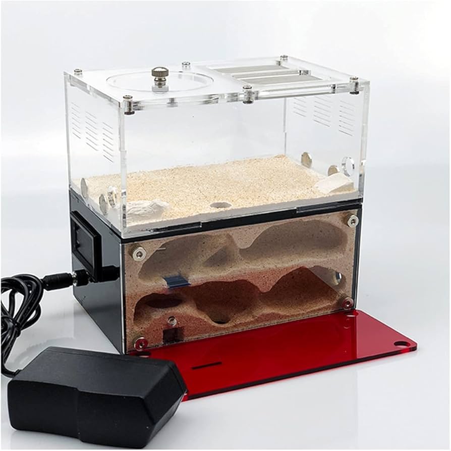 アクリル製アリ飼育キット 自然な岩レイアウト アクリル製アリ飼育キット 自然な岩レイアウト 楽天市場】アリの