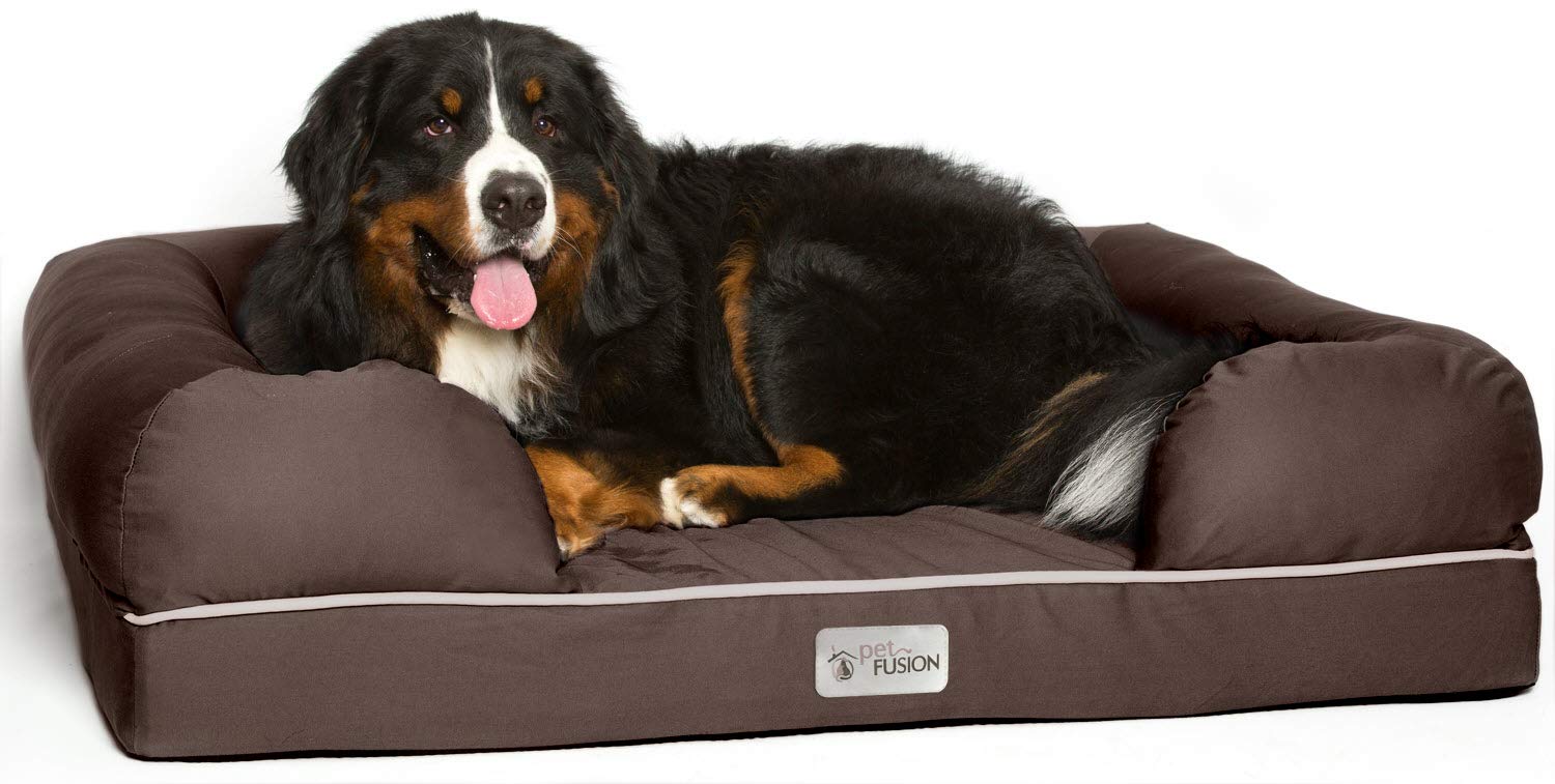 Is Memory Foam Toxic To Dogs