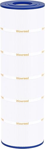 Filtro de piscina compatible con C1750, CX1750RE, PA175, C-8417, FC-1294, PXC175, PCCF-175, 817-0175P, 1 paquete