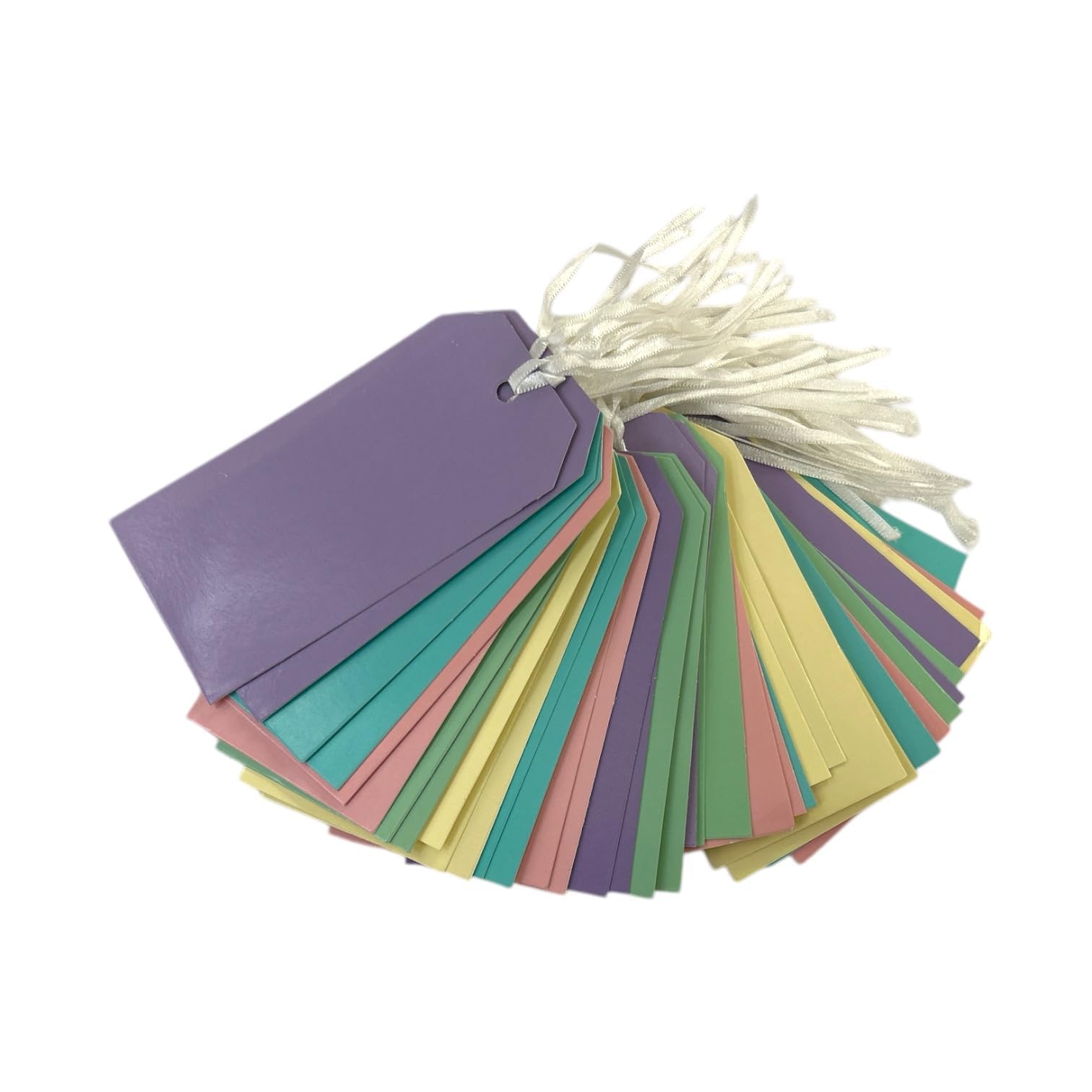 Pack of 50 Assorted Pastel Colour 120x60mm Gift Tags